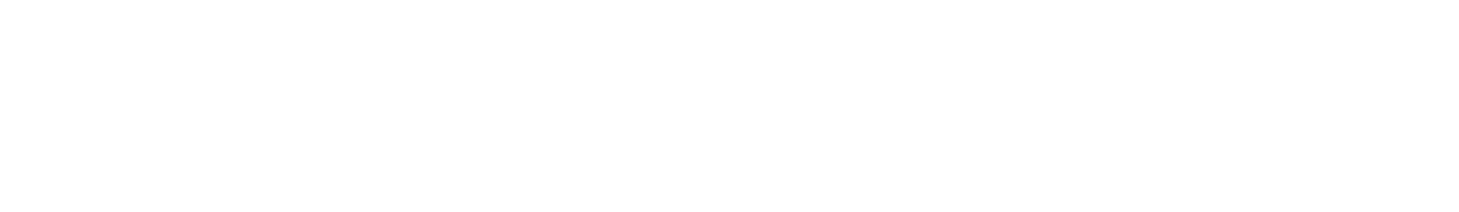 Technology partner logo
